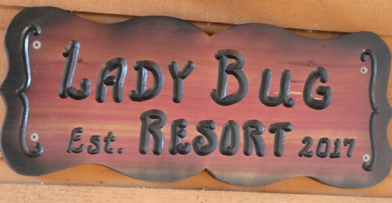 Ladybug Resort Romantic Cabin With Mountain Views, Game Room, Close To Dollywood Sevierville Exterior photo